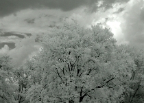 DSCN2595 copy  Storm Clouds #3 : NJ, Landscapes, Infrared, 2-Stars